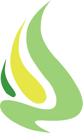 LT Distributing logo